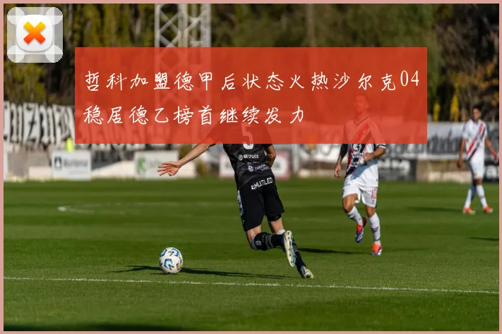哲科加盟德甲后状态火热沙尔克04稳居德乙榜首继续发力